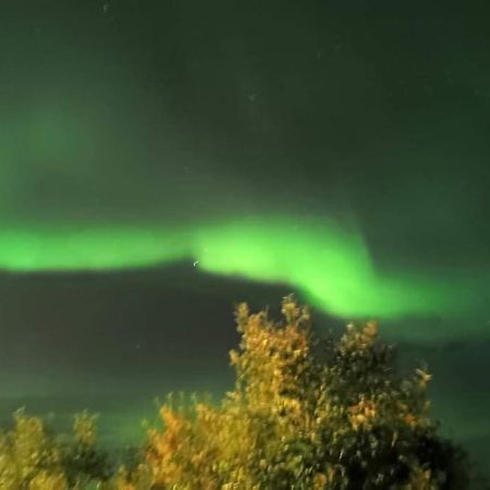 Aurora Rooms In Shared Apartment Nr1 We Are Doing Privet Northen Light Trip, Reindeer Trip And Sommaroy Fjord Trip トロムソ エクステリア 写真