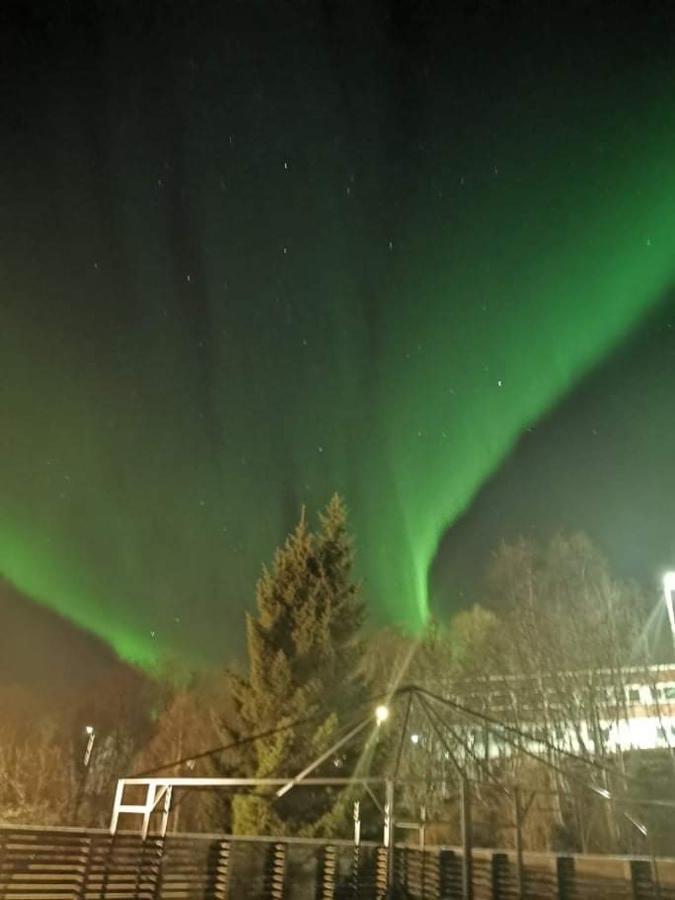 Aurora Rooms In Shared Apartment Nr1 We Are Doing Privet Northen Light Trip, Reindeer Trip And Sommaroy Fjord Trip トロムソ エクステリア 写真