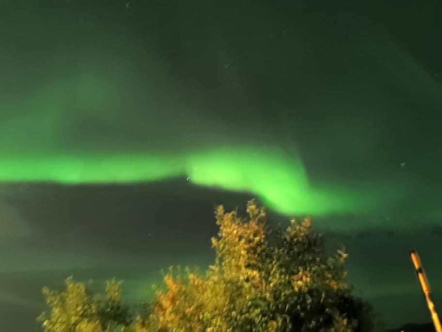 Aurora Rooms In Shared Apartment Nr1 We Are Doing Privet Northen Light Trip, Reindeer Trip And Sommaroy Fjord Trip トロムソ エクステリア 写真